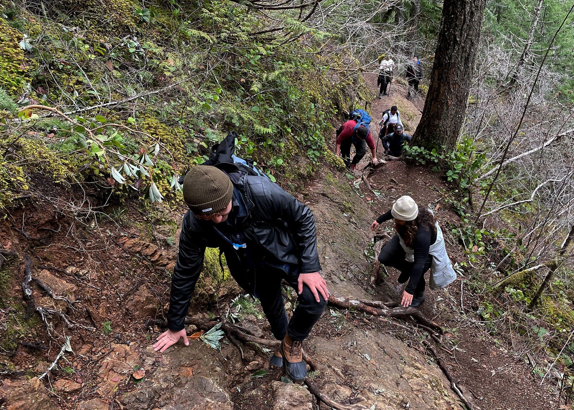 A group of hikers climbing rocky terrain together